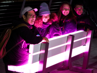 Lumiere Festival