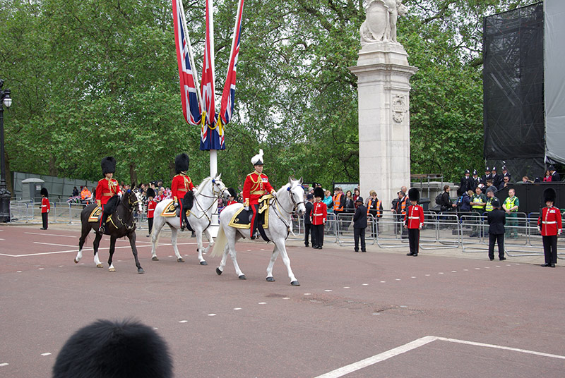 The Showmans Show